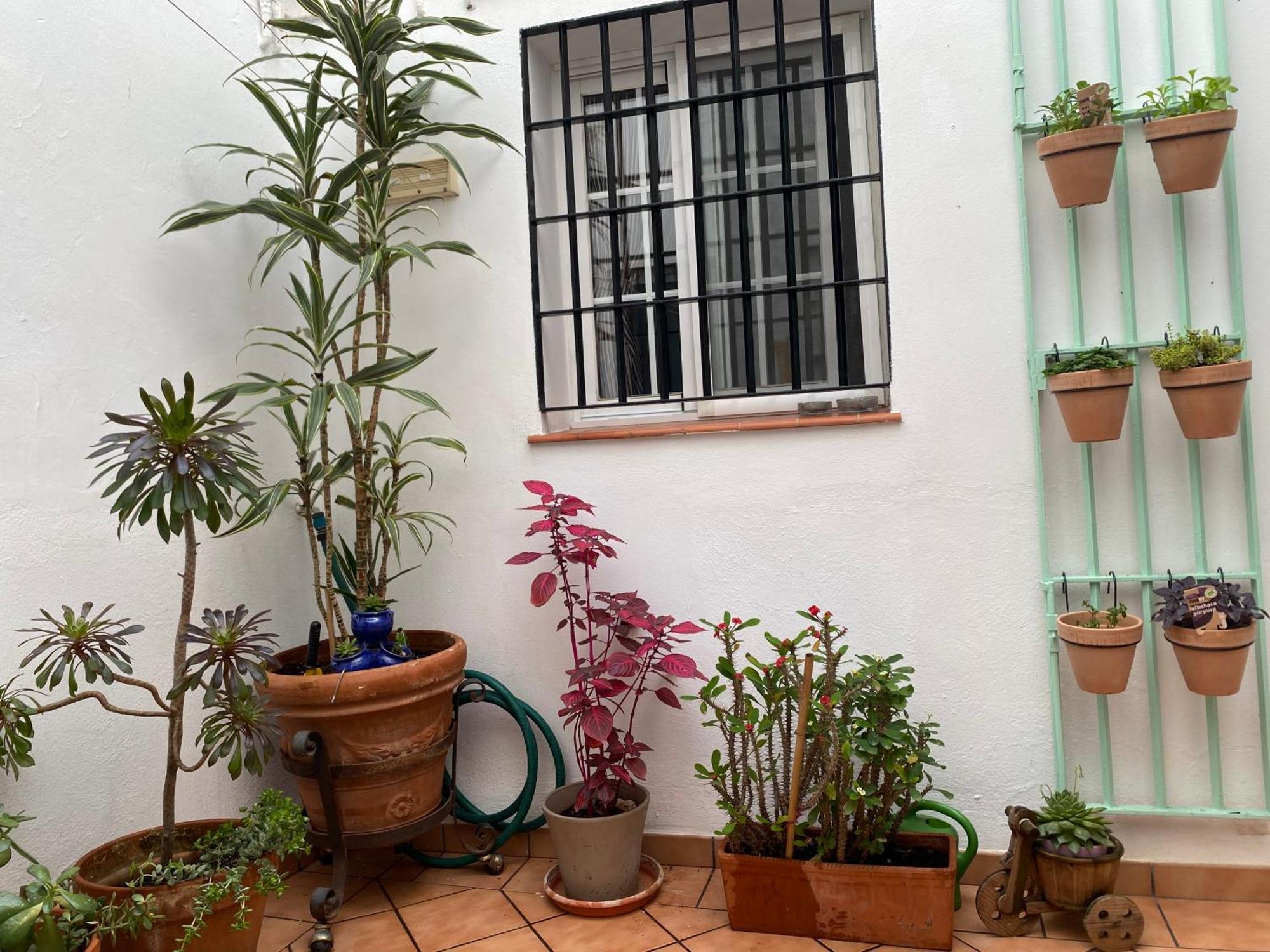Enmitatiko Alcazar Viejo Apartment Cordoba Exterior photo